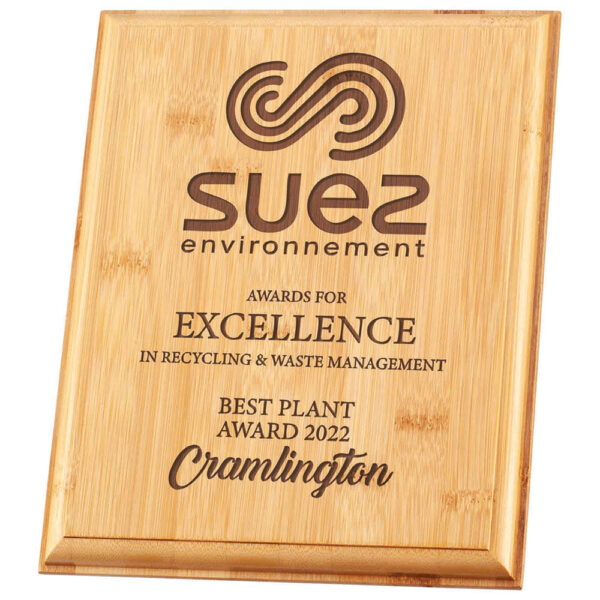 Bamboo Gaia Plaque 250x200x15mm