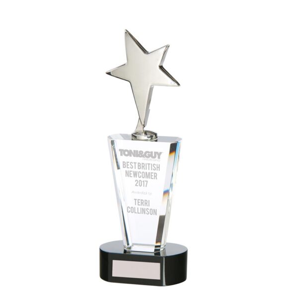 Chicago Crystal & Chrome Award 250mm