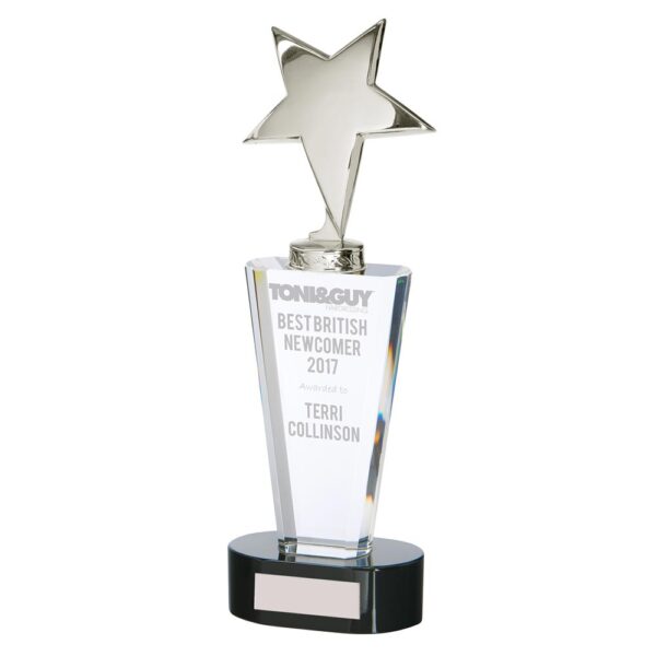 Chicago Crystal & Chrome Award 270mm