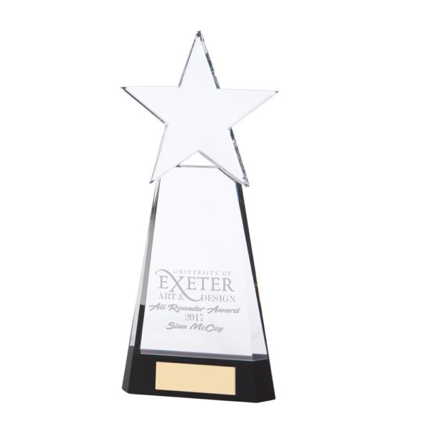 Houston Crystal Award 270mm
