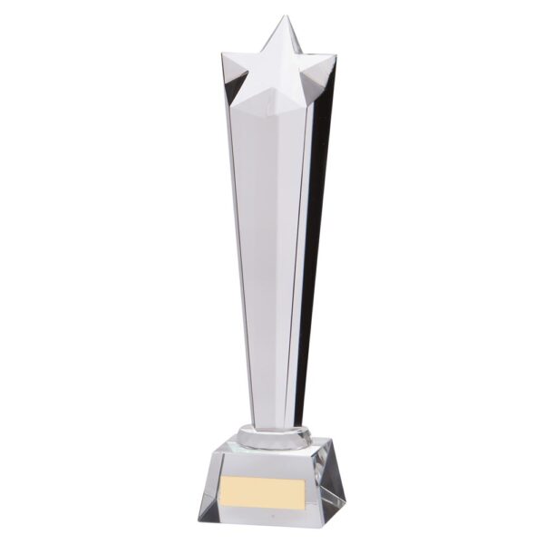 Seattle Star Crystal Award 270mm