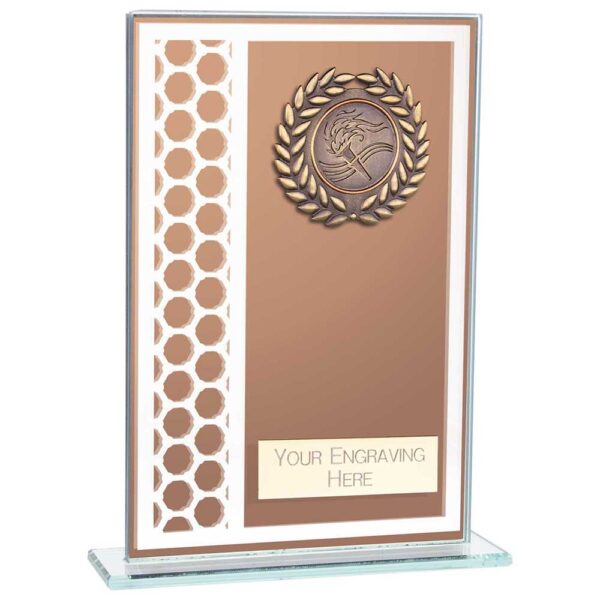 Titanium Multisport Glass Award Bronze 160mm