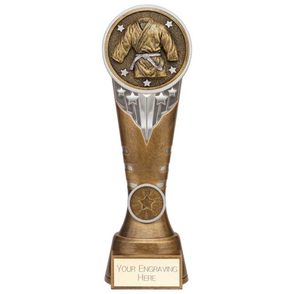 Ikon Tower Martial Arts Award Antique Silver & Gold 225mm