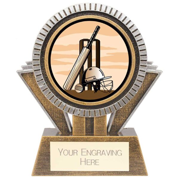 Apex Cricket Award Gold & Silver 130mm