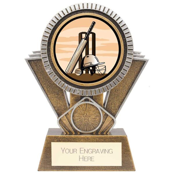 Apex Cricket Award Gold & Silver 155mm