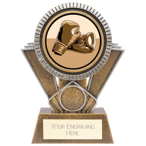 Apex Boxing Award Gold & Silver 155mm