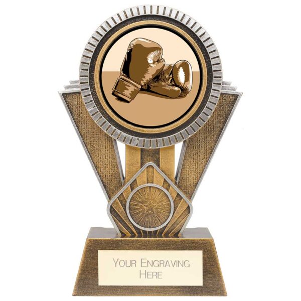 Apex Boxing Award Gold & Silver 180mm