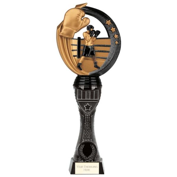 Renegade Heavyweight Boxing Award Black 250mm