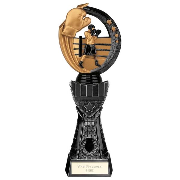 Renegade Heavyweight Boxing Award Black 270mm