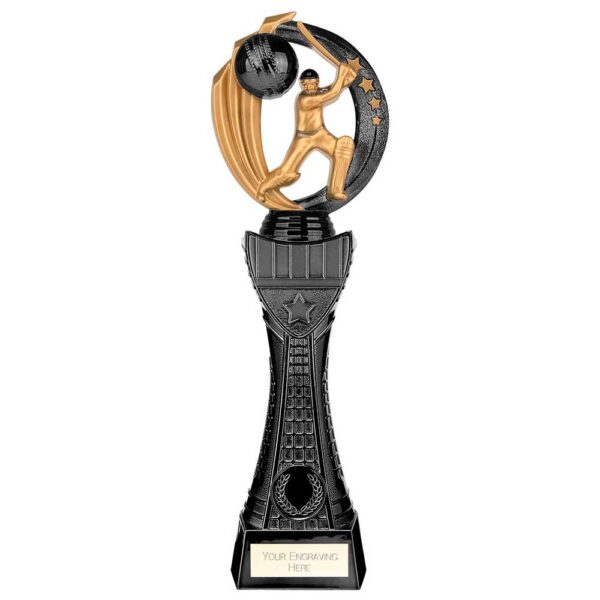 Renegade Heavyweight Cricket Award Black 310mm