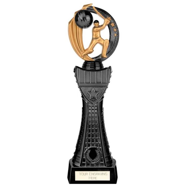 Renegade Heavyweight Cricket Award Black 335mm