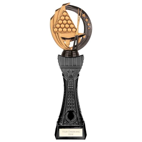 Renegade Heavyweight Snooker Award Black 310mm