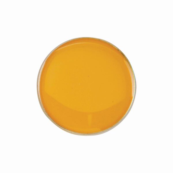 Scholar Pin Badge Round Yellow 40mm