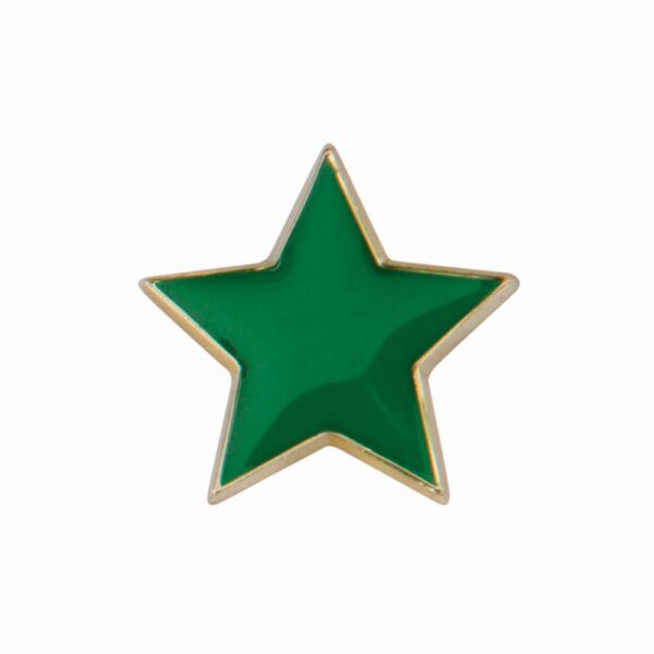 Scholar Pin Badge Star Green 20mm