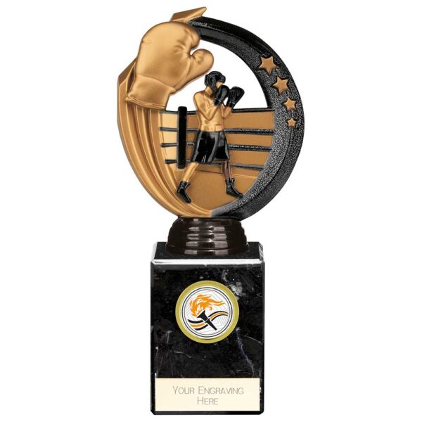 Renegade Legend Boxing Award Black 200mm