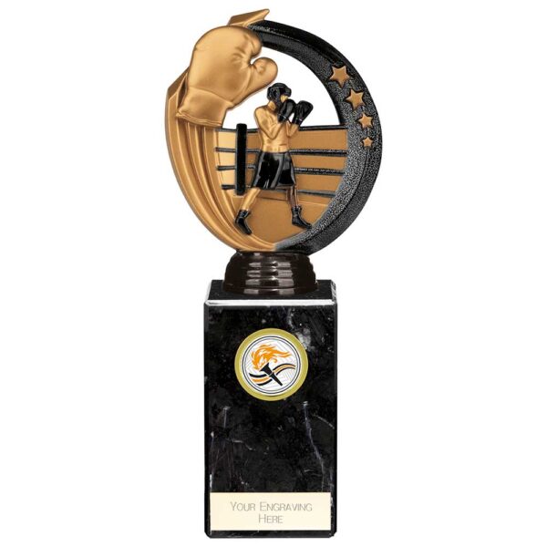 Renegade Legend Boxing Award Black 225mm