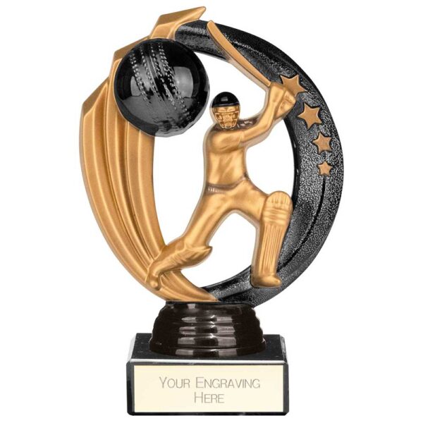 Renegade Legend Cricket Award Black 145mm