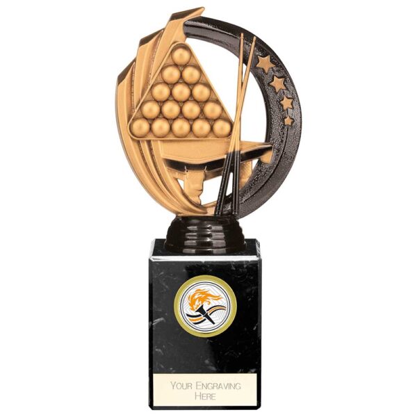 Renegade Legend Snooker Award Black 200mm