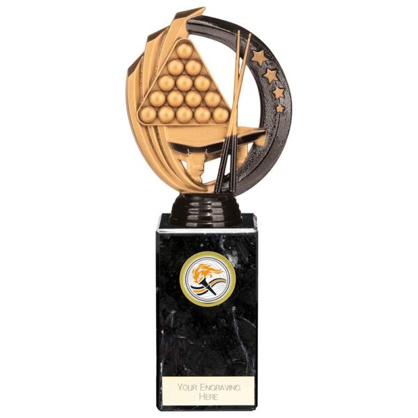 Renegade Legend Snooker Award Black 225mm