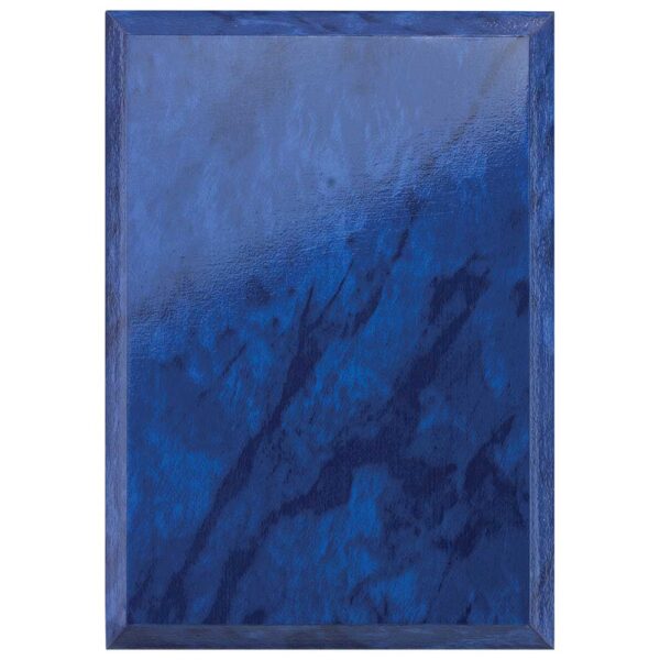 Reward Shield Azure Blue 100mm
