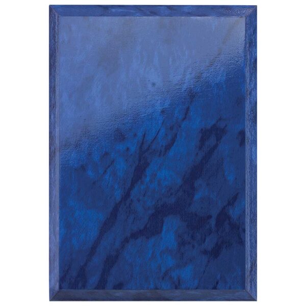 Reward Shield Azure Blue 125mm