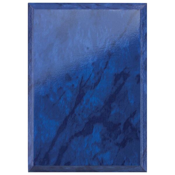 Reward Shield Azure Blue 150mm