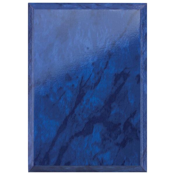 Reward Shield Azure Blue 175mm