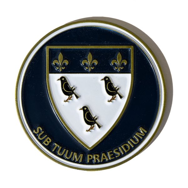 1000 70mm x 3mm Custom School Coins Full Colour Enamel