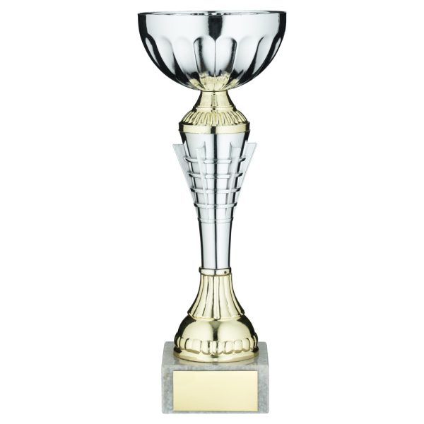 SILV/GOLD  SPIRO TROPHY CUP WITH PLATE - 11.5in