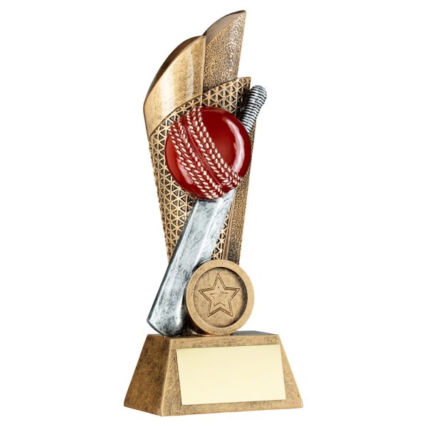 BRZ/PEW/GOLD CRICKET BALL AND BAT ON MESH BACKDROP WITH PLATE (1in CEN) - 7.25in